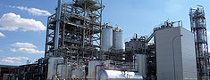 Biomass demo plant in BCL
