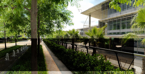 View of the Campus Palmas Altas, the headquarters of Abengoa, from inside. The gardens in the foreground, together with a metal grille fence, behind which is one of the glass buildings of the centre.