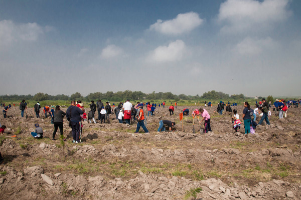 Abengoa, reconocida por el Gobierno de México por su papel en la conservación del medioambiente