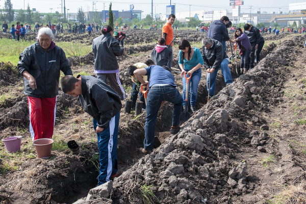 Abengoa, reconocida por el Gobierno de México por su papel en la conservación del medioambiente