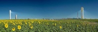 Imagen de las tres plantas solares de torre integradas en la Plataforma Solúcar, que Abengoa tiene en la localidad sevillana de Sanlúcar la Mayor, Sevilla. De izquierda a derecha torre PS20, torre Eureka y torre PS10.