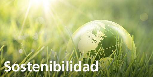 Sostenibilidad