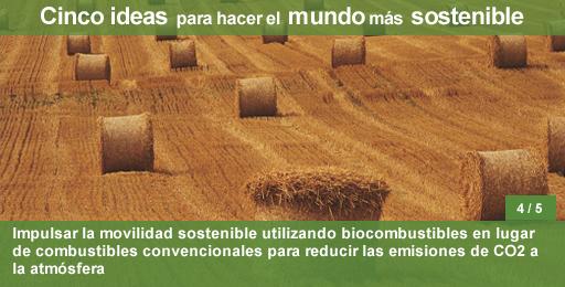 Paja apilada tras la recolección del grano