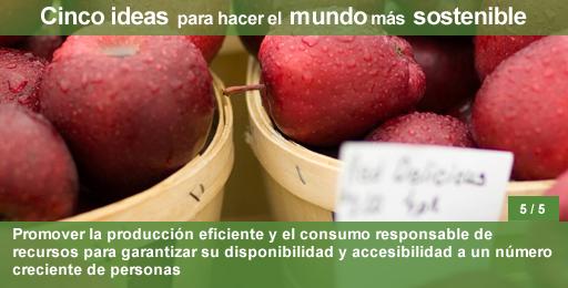 Manzanas en cestos procedentes del mercado local
