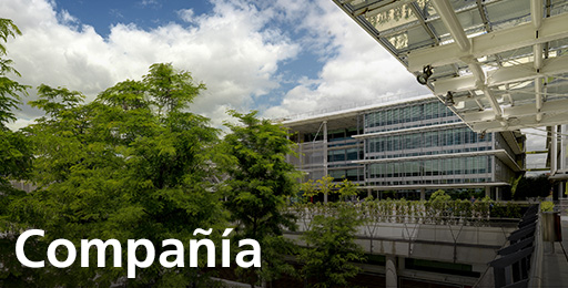 Compañía